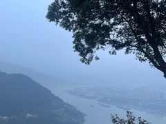 -铁山坪森林公园