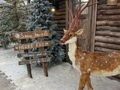 -HERRE·FARM 赫尔露营农场·团建聚会包场