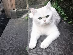 -和顺古镇