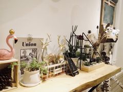 -白日梦奶茶