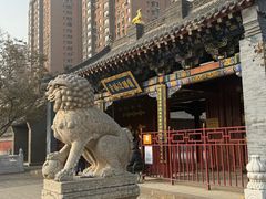 -护国法轮寺