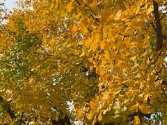 -西安电影制片厂