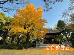 -汇龙潭