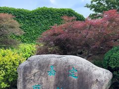 -嘉定紫藤园