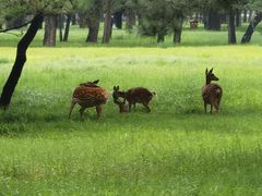 -承德避暑山庄景区