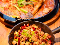 -老板恋上鱼(恒隆广场店)