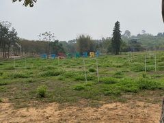 -天适樱花悠乐园