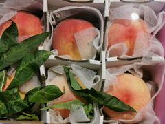 -水果天空(东葛店)