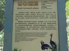 -亚马逊丛林水乐园