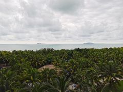 -三亚湾海居铂尔曼度假酒店