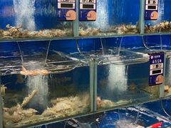 水产区-小船渔村•大连菜•大连焖鱼(明泽街店)