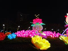 -映月湖公园