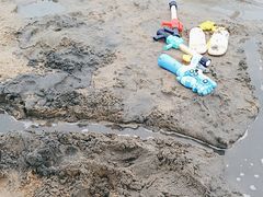 -碧海金沙