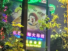 -广州长隆国际大马戏