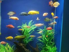 景点-水上乐园·欢乐世界