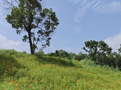 -合肥野生动物园