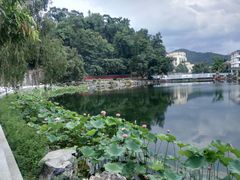 -国恩寺