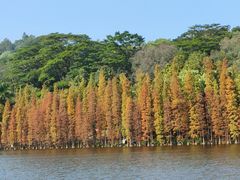 -三水森林公园
