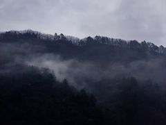 -秦岭服务区餐厅(京昆高速店)