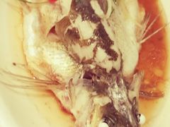 -鹿港小镇经典老上海菜(长乐路店)
