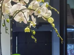 -Peet's Coffee皮爷咖啡(新天地黑标店)