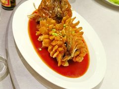 -RIVIERA 松鹤楼(外滩店)