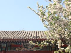 -海棠花溪(元大都城垣遗址公园)