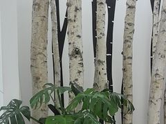 -极简口腔(总院)