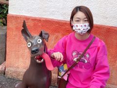 -李宁(大宁国际旗舰店)