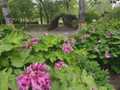 -莲花池公园