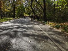 -沈阳植物园