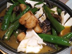 -猫头婴小酒馆FUN OWL(1912店)