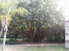 -北海市海滨公园