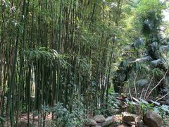 -广州兰圃