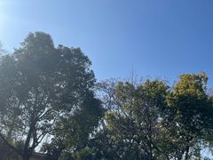-太平天国侍王府