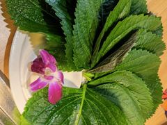 -千纸鹤嫩汁烤肉(西大直街店)