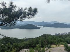 -宝荣鱼馆·临湖之宴(千岛湖店)