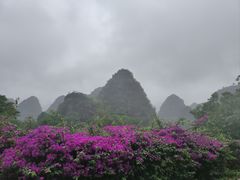 -万峰林风景区