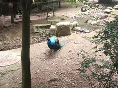 -黔灵山公园