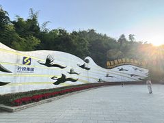 -西双版纳原始森林公园