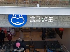 门面-盒马鲜生(双清路店)