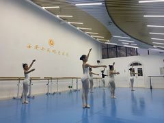 -西安小天鹅艺术团(曲江Alice店)