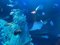 -沈阳海洋探索中心