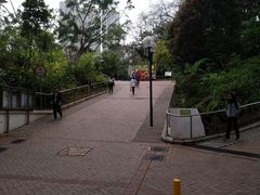 -九龙公园