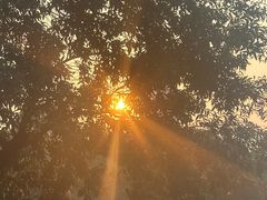 -晓港公园