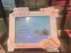 -嘉华鲜花饼(束河店)