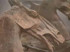 -仪征博物馆