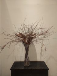 -无界瑜伽普拉提