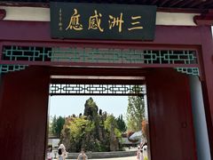 -神州牡丹园