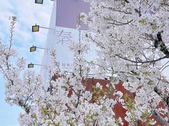 -龙美术馆(西岸馆)